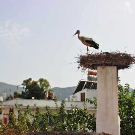 Barim Pansiyon Selçuk Exterior foto