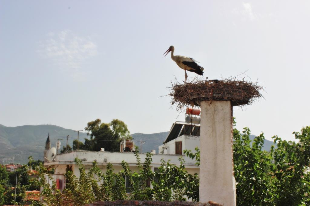 Barim Pansiyon Selçuk Exterior foto